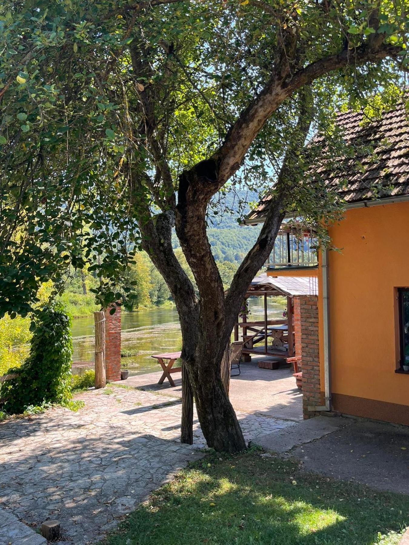Bed And Breakfast Family Djukic Sipovo Luaran gambar