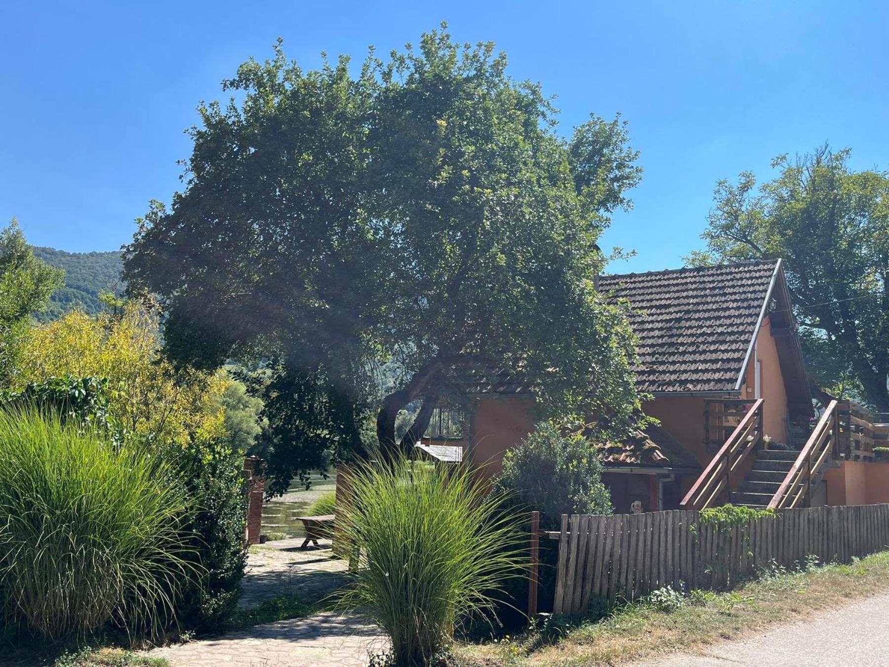 Bed And Breakfast Family Djukic Sipovo Luaran gambar